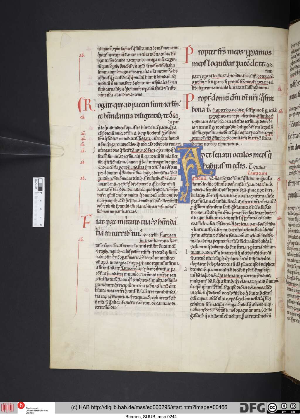 http://diglib.hab.de/mss/ed000295/00466.jpg
