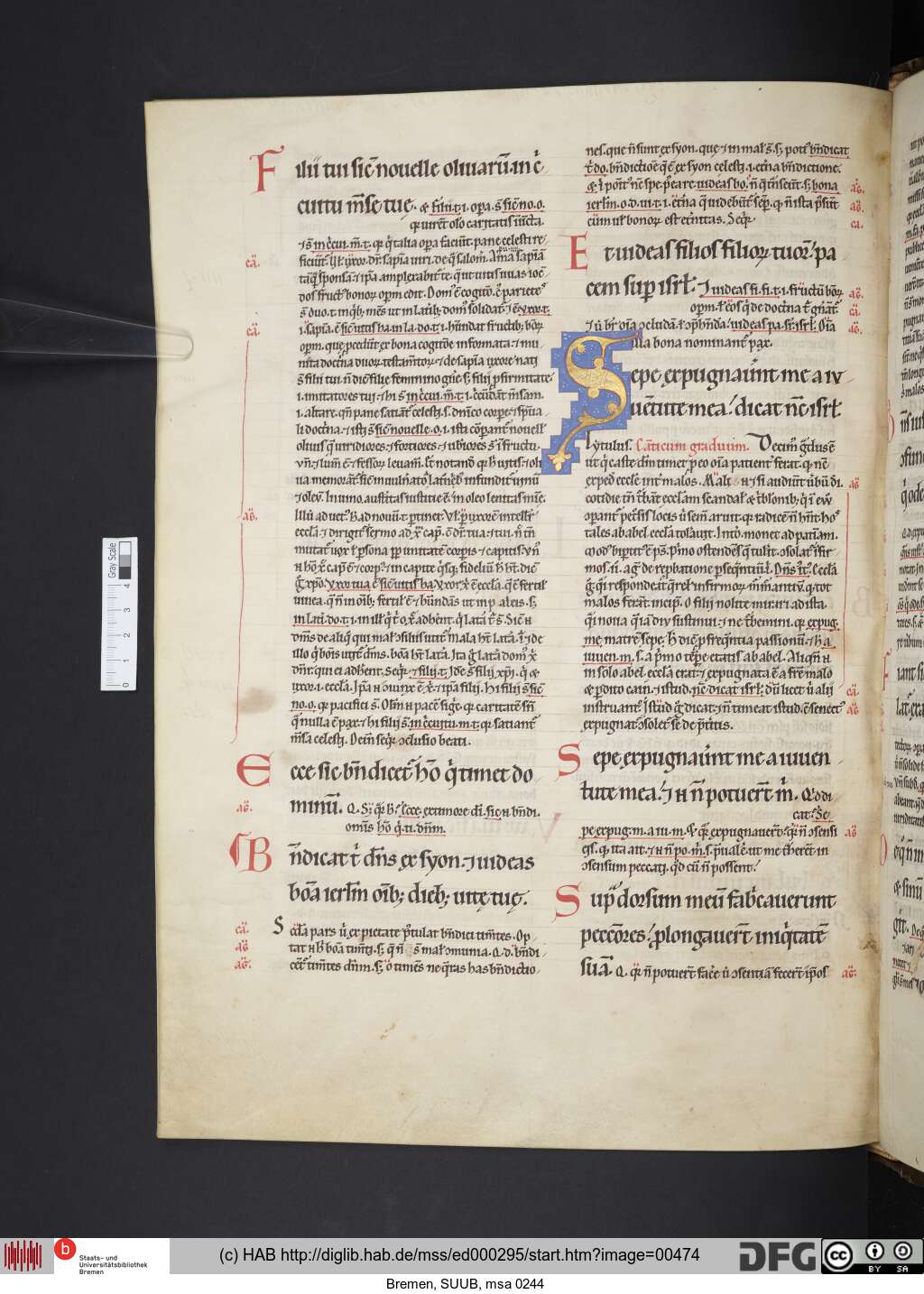 http://diglib.hab.de/mss/ed000295/00474.jpg