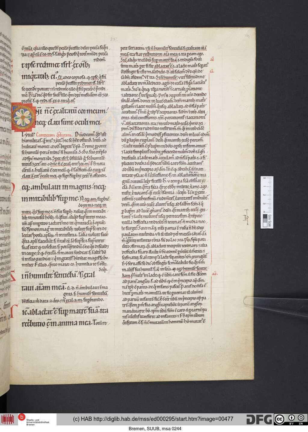 http://diglib.hab.de/mss/ed000295/00477.jpg
