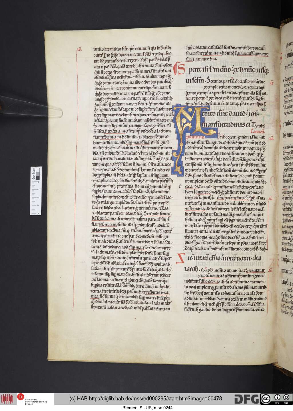 http://diglib.hab.de/mss/ed000295/00478.jpg