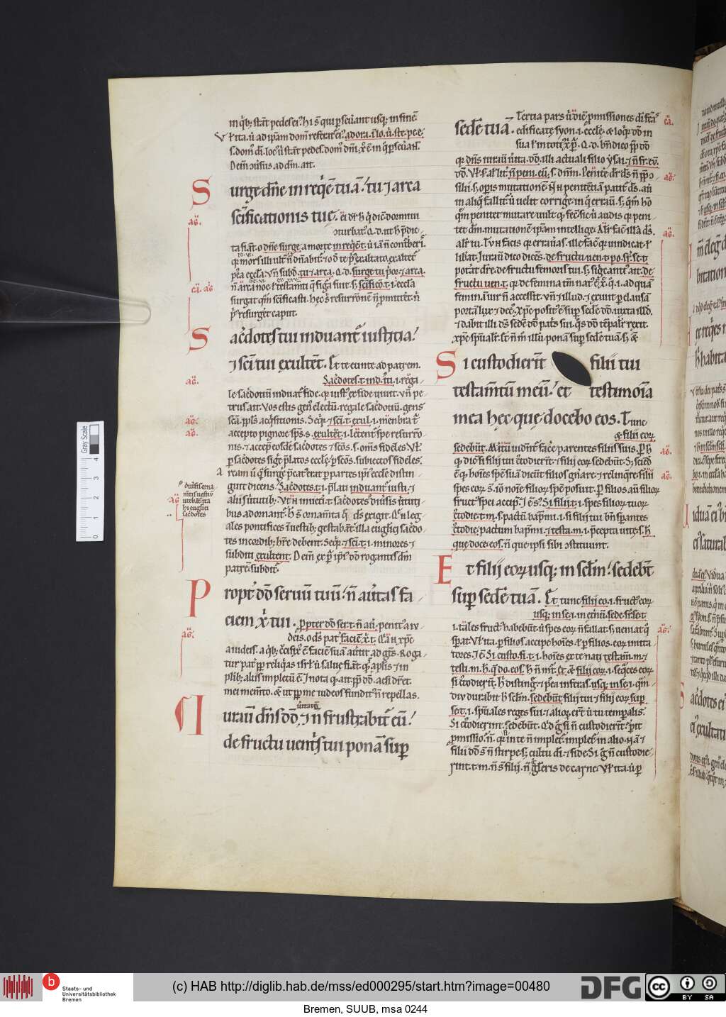 http://diglib.hab.de/mss/ed000295/00480.jpg