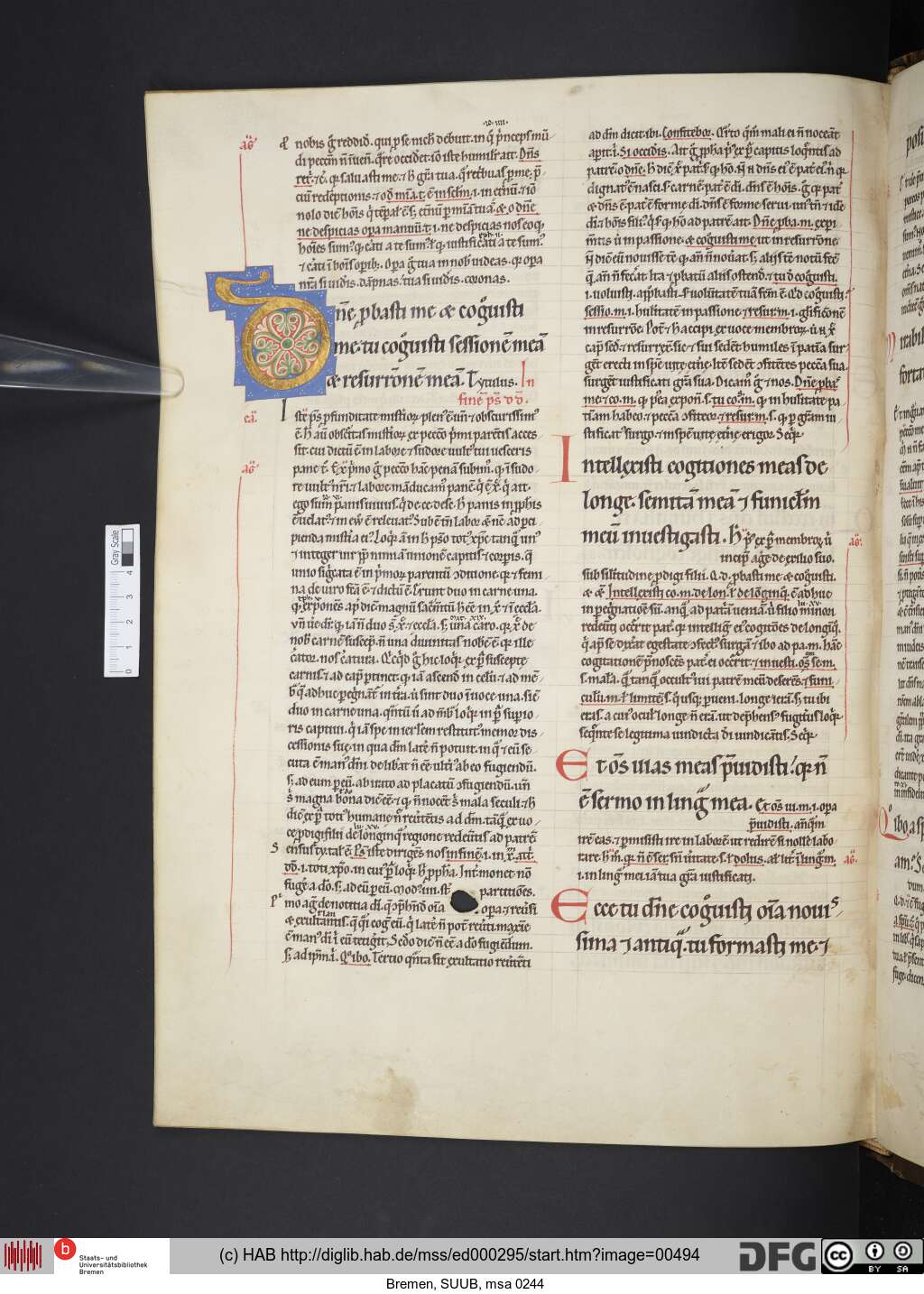 http://diglib.hab.de/mss/ed000295/00494.jpg