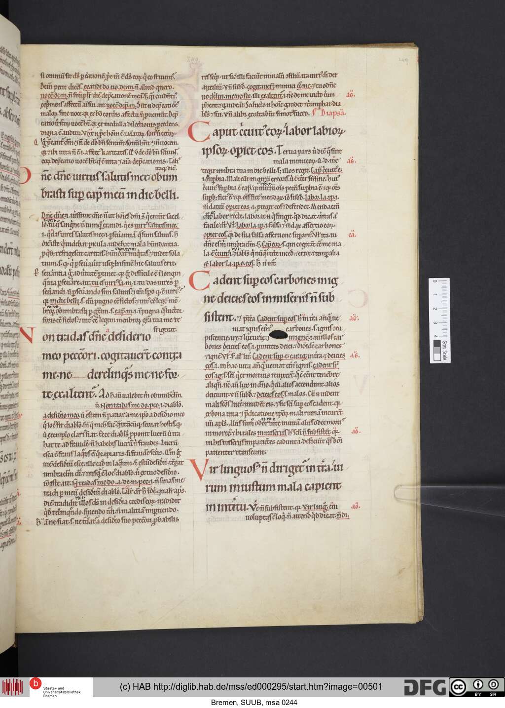 http://diglib.hab.de/mss/ed000295/00501.jpg