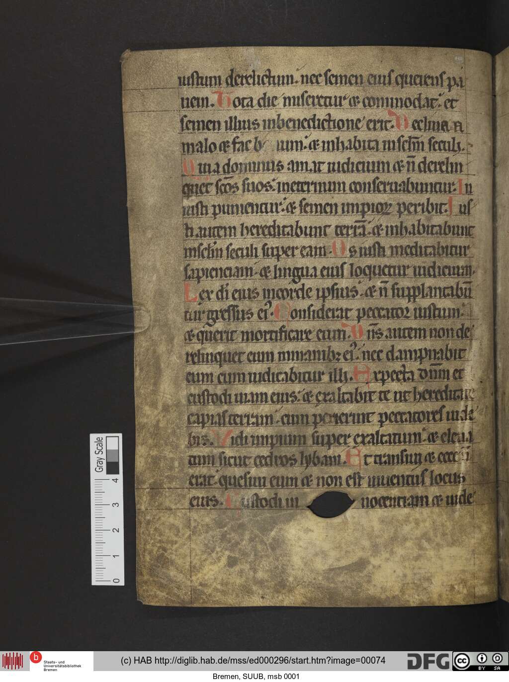 http://diglib.hab.de/mss/ed000296/00074.jpg