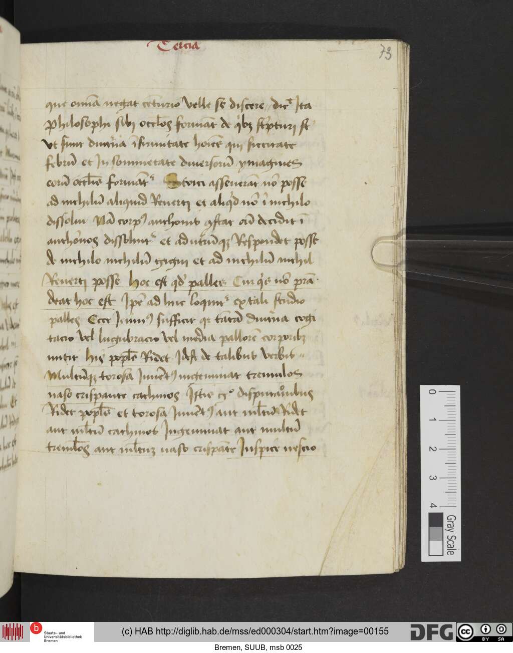 http://diglib.hab.de/mss/ed000304/00155.jpg