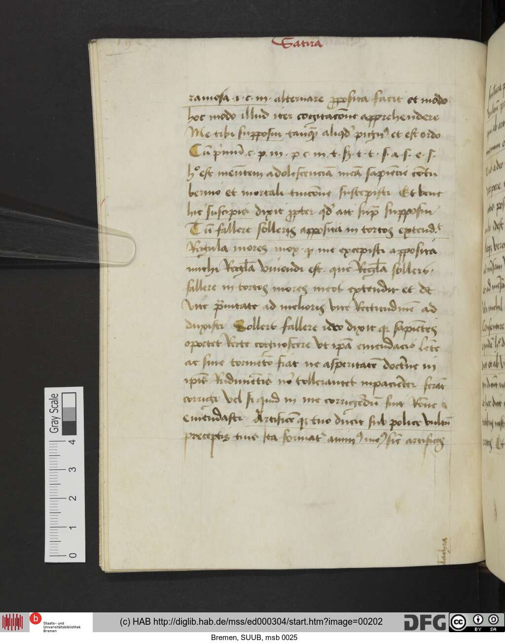 http://diglib.hab.de/mss/ed000304/00202.jpg