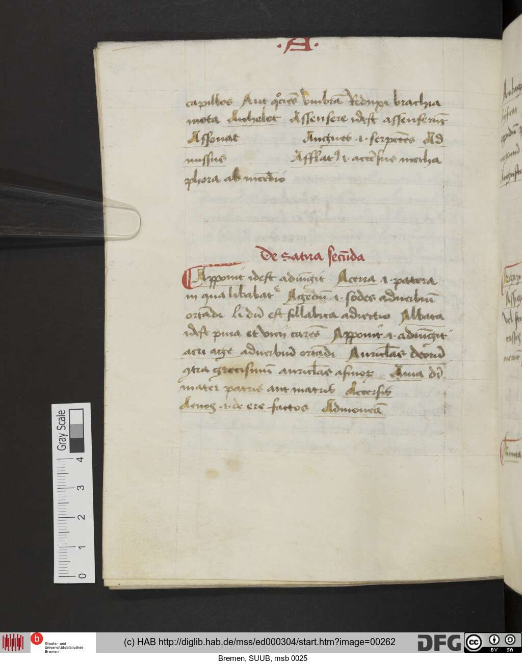 http://diglib.hab.de/mss/ed000304/00262.jpg