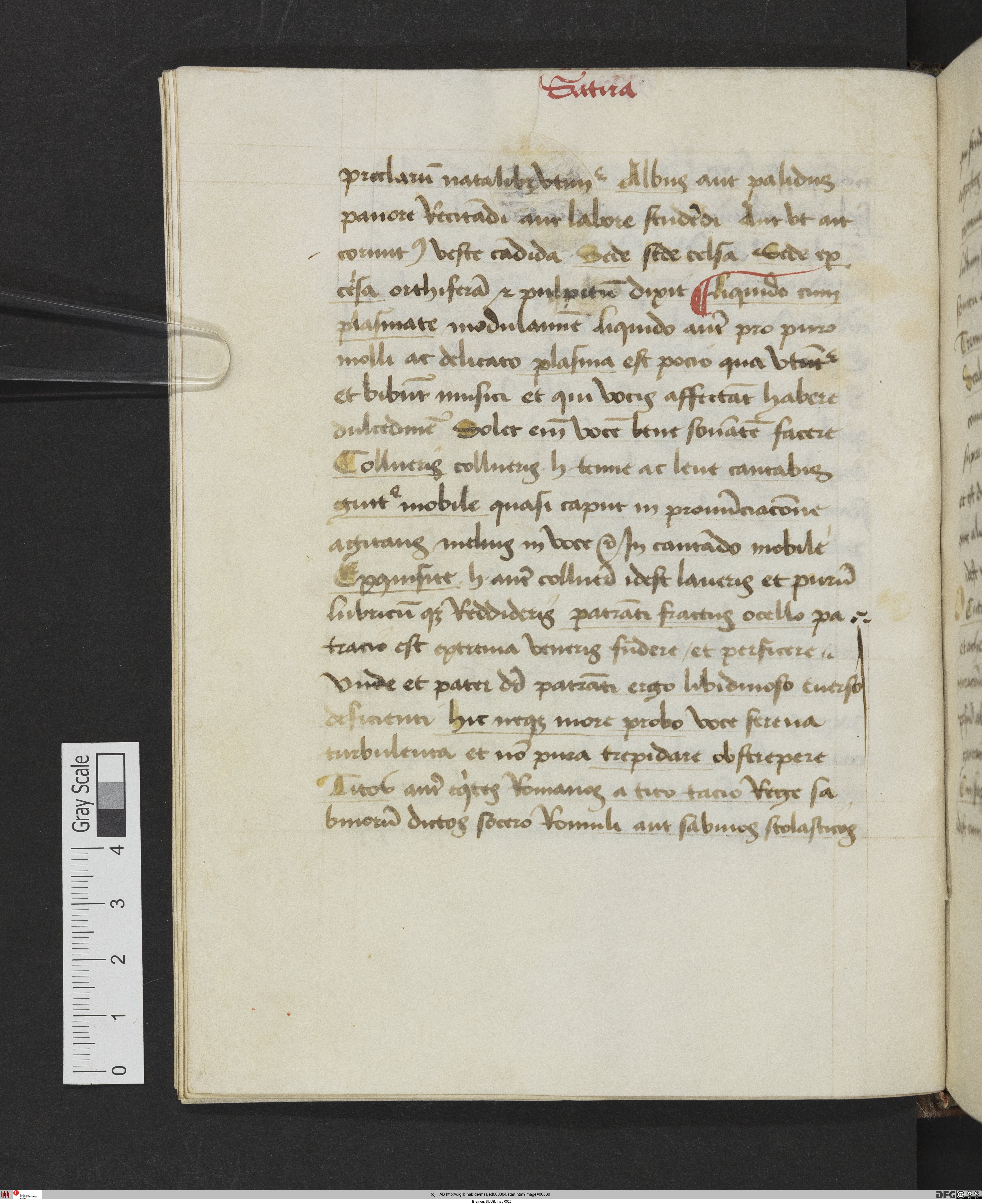 http://diglib.hab.de/mss/ed000304/max/00030.jpg