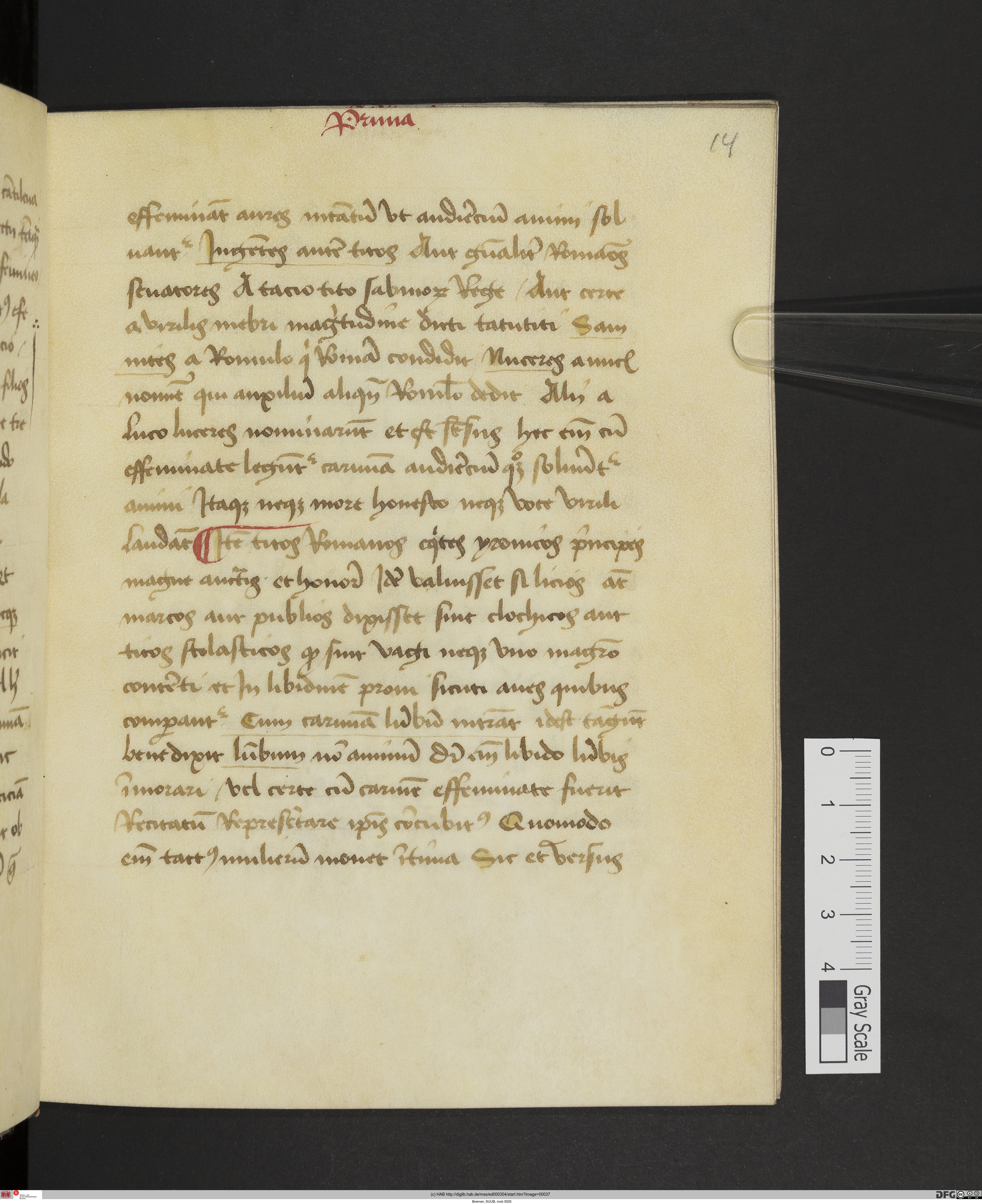 http://diglib.hab.de/mss/ed000304/max/00037.jpg