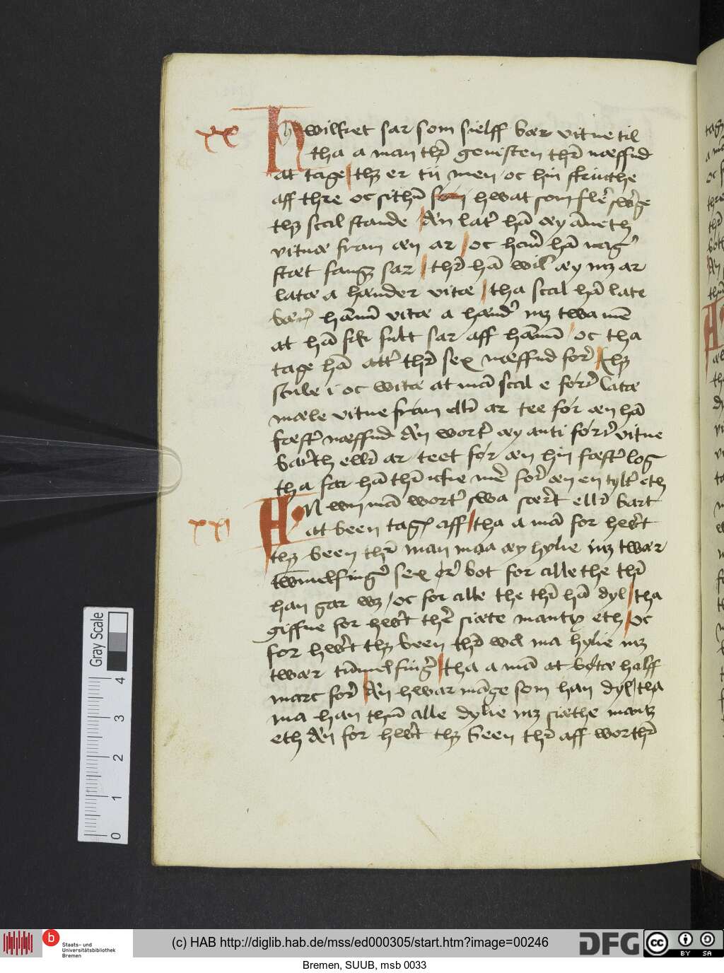 http://diglib.hab.de/mss/ed000305/00246.jpg