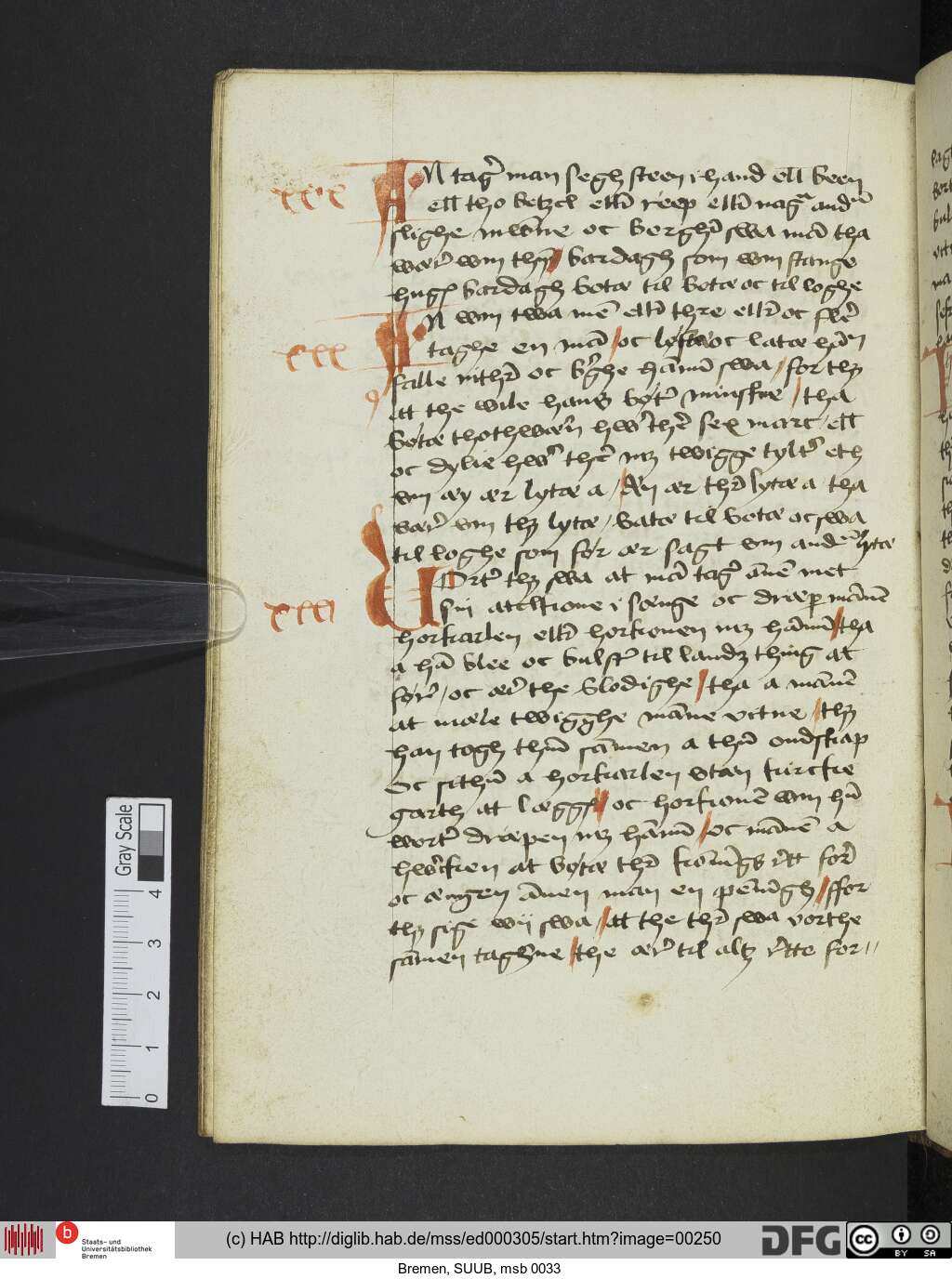 http://diglib.hab.de/mss/ed000305/00250.jpg