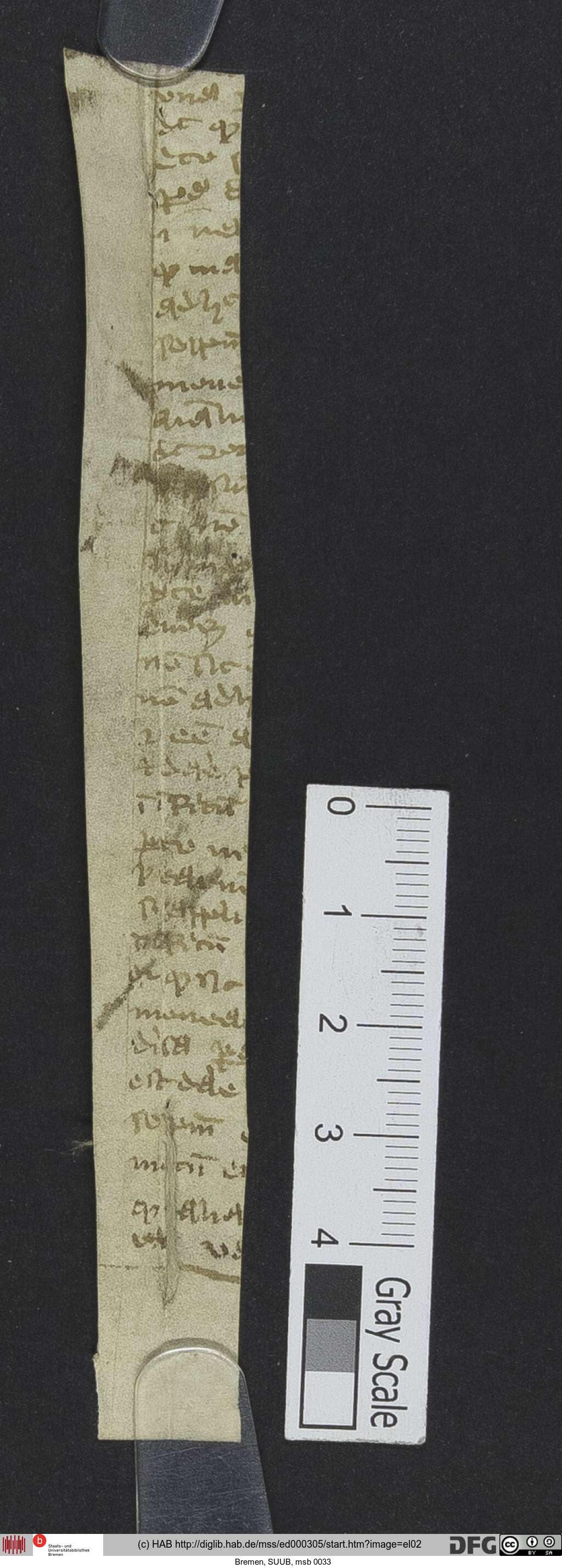 http://diglib.hab.de/mss/ed000305/el02.jpg