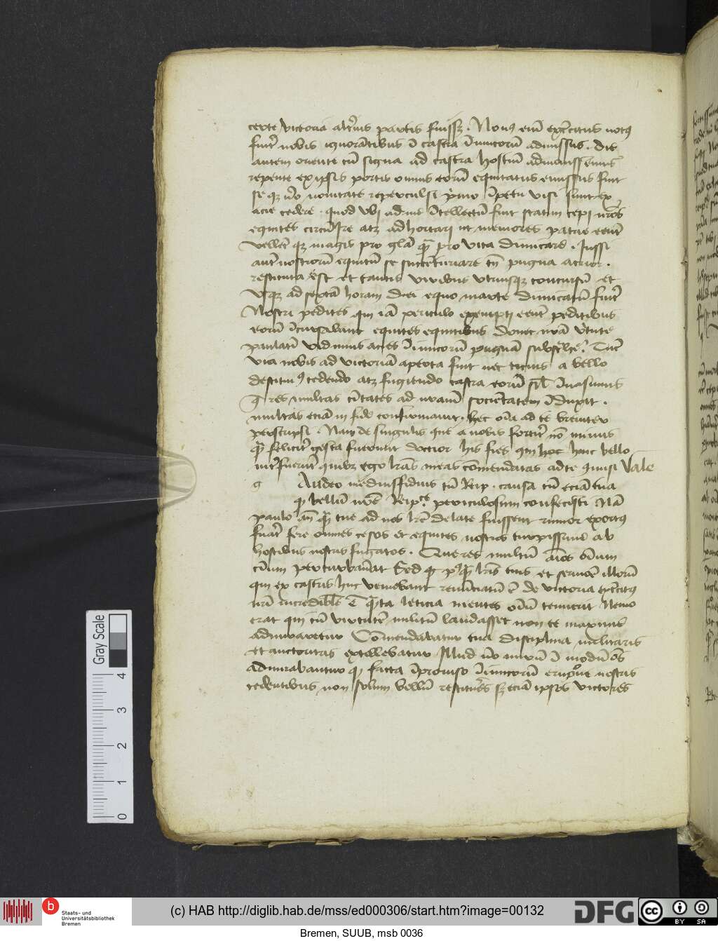 http://diglib.hab.de/mss/ed000306/00132.jpg