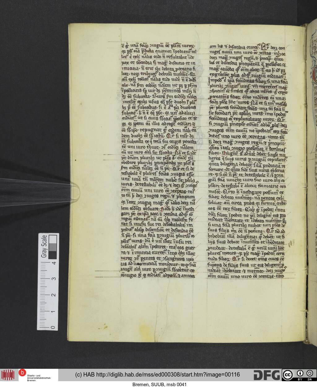 http://diglib.hab.de/mss/ed000308/00116.jpg