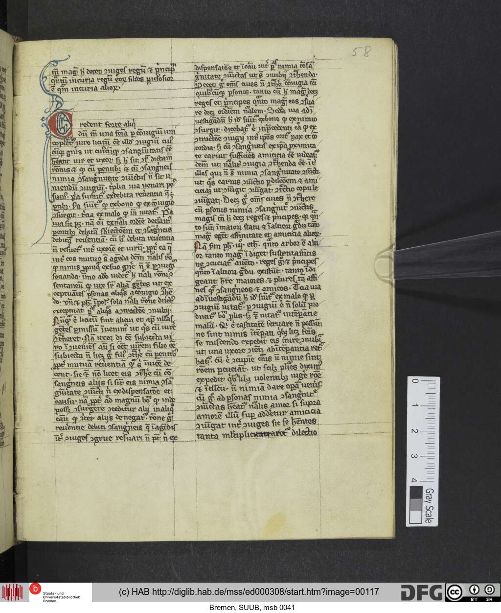 http://diglib.hab.de/mss/ed000308/00117.jpg