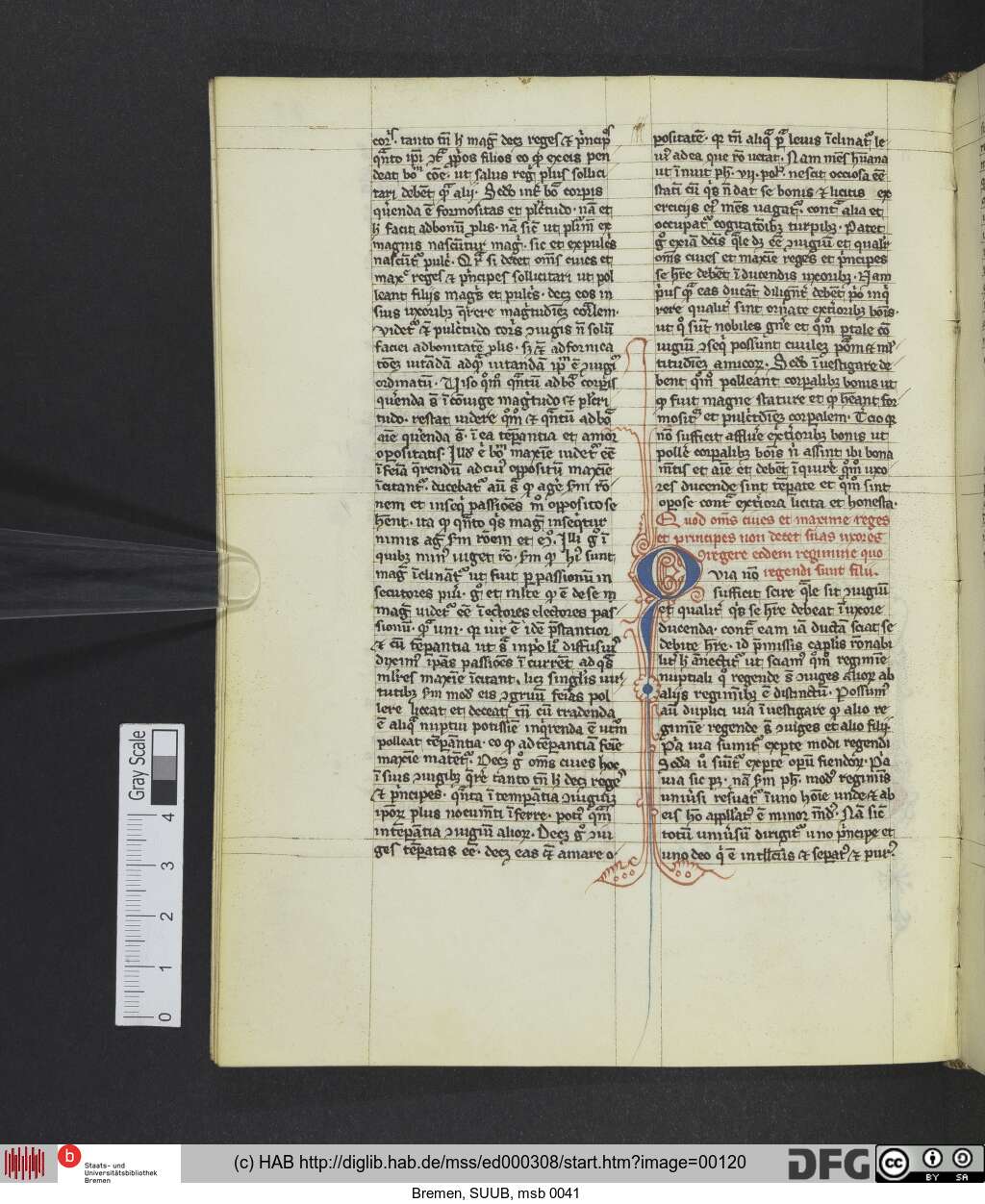 http://diglib.hab.de/mss/ed000308/00120.jpg