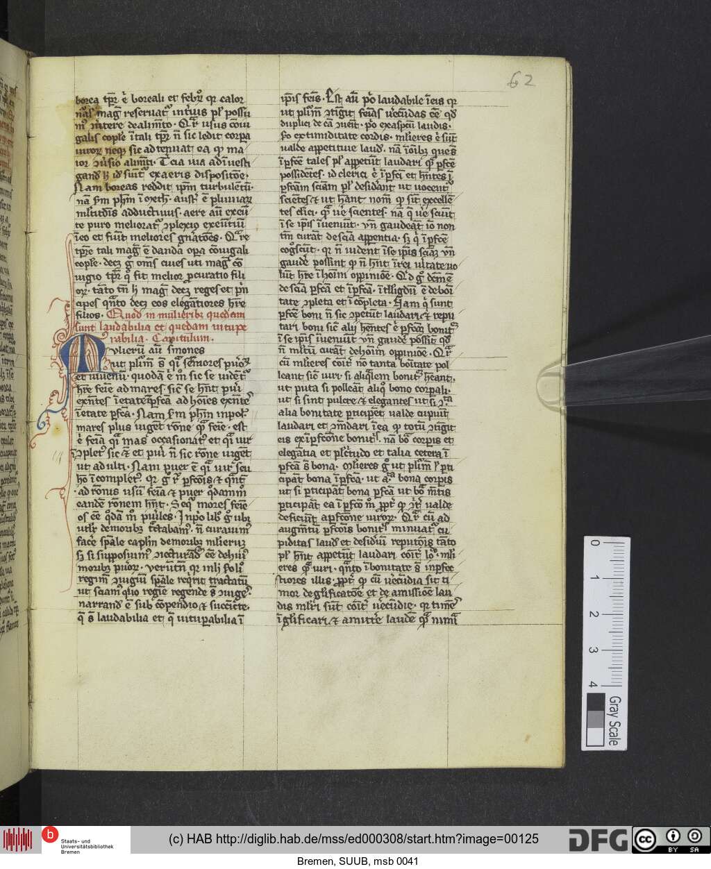 http://diglib.hab.de/mss/ed000308/00125.jpg