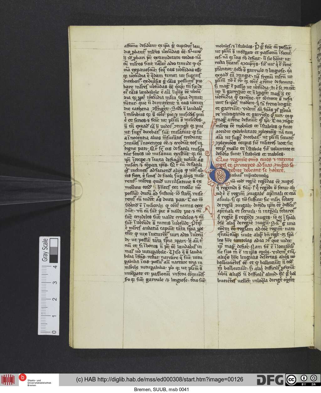 http://diglib.hab.de/mss/ed000308/00126.jpg