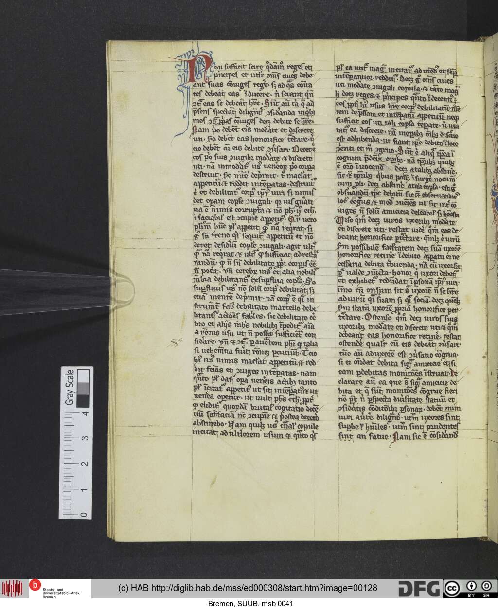 http://diglib.hab.de/mss/ed000308/00128.jpg