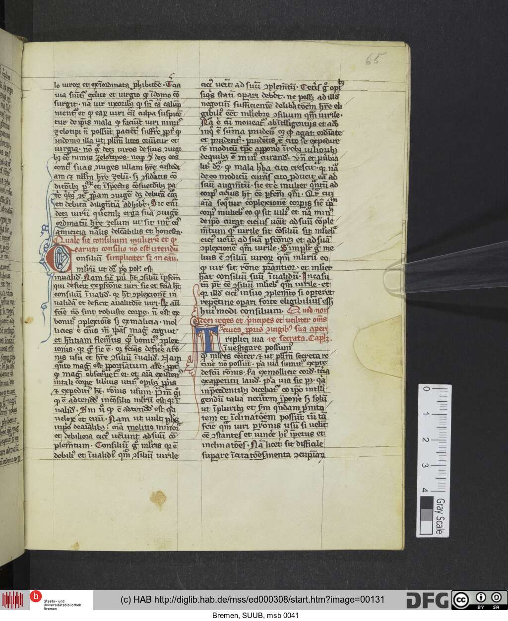 http://diglib.hab.de/mss/ed000308/00131.jpg