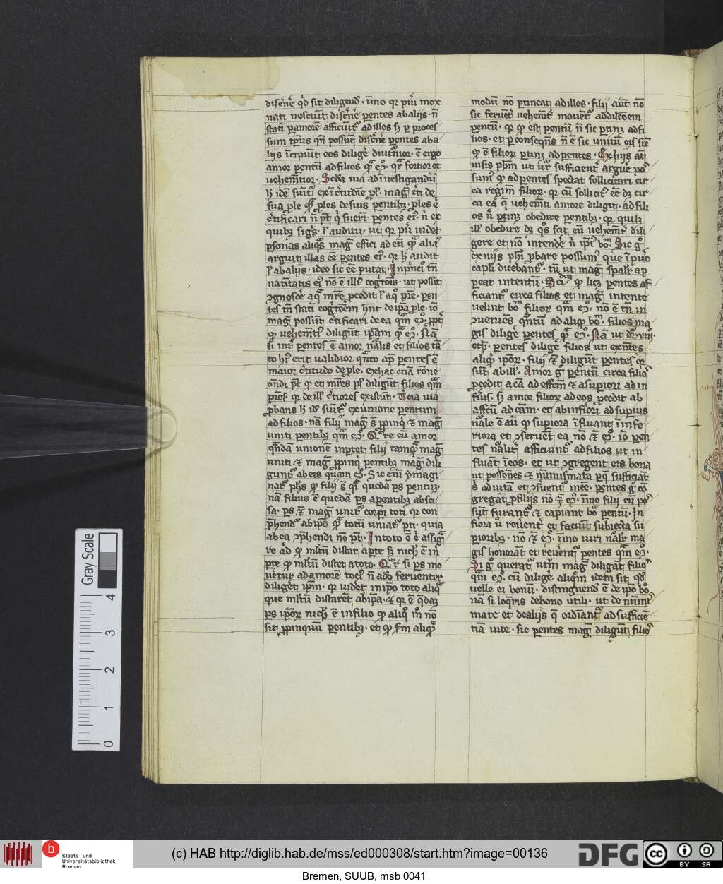 http://diglib.hab.de/mss/ed000308/00136.jpg