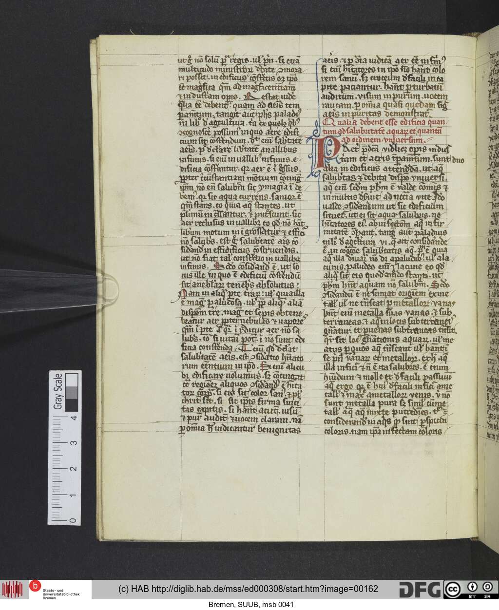 http://diglib.hab.de/mss/ed000308/00162.jpg