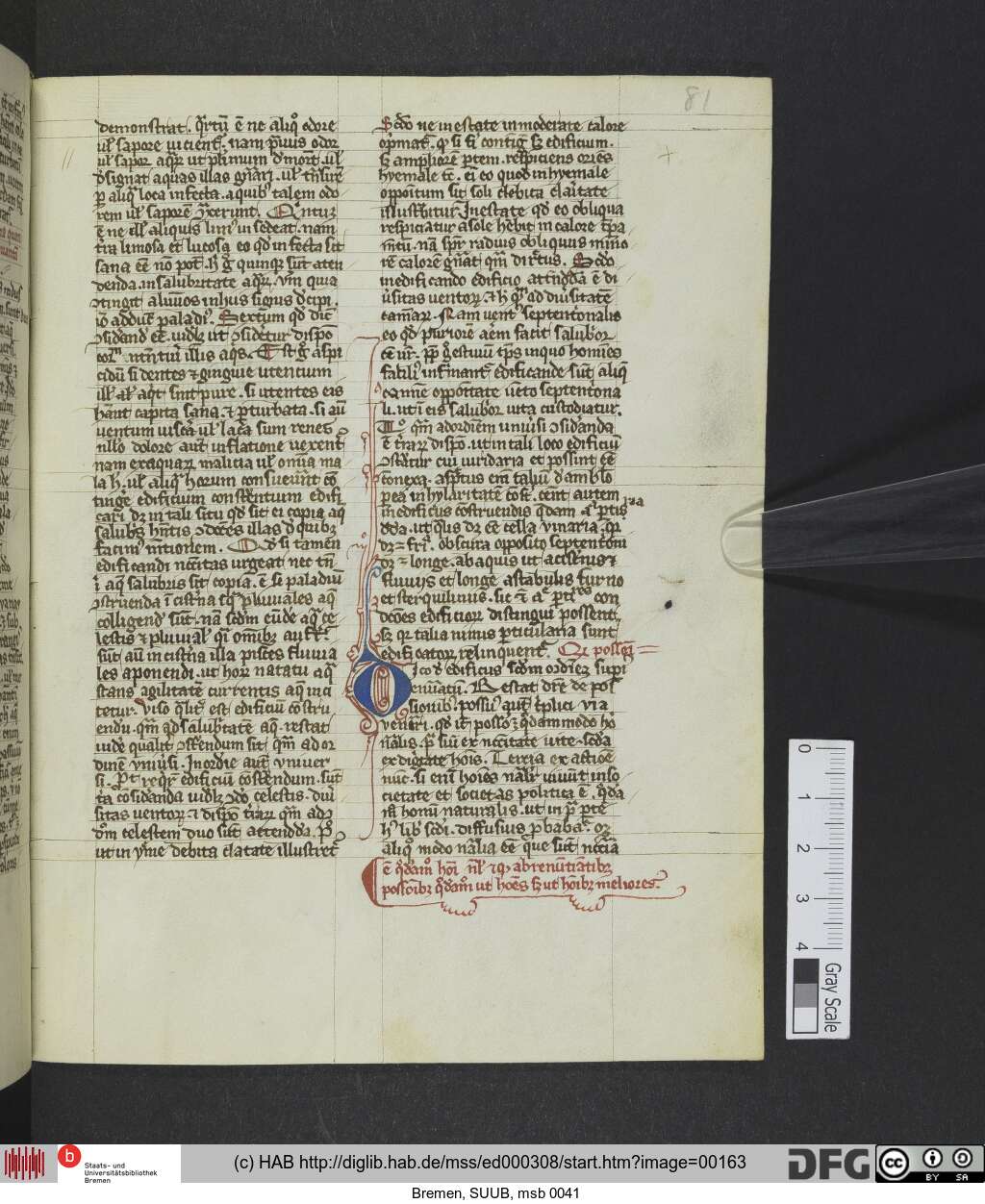 http://diglib.hab.de/mss/ed000308/00163.jpg