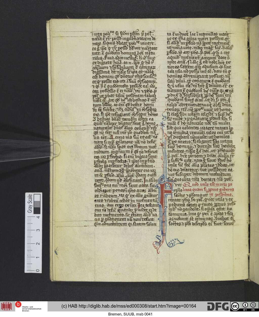 http://diglib.hab.de/mss/ed000308/00164.jpg