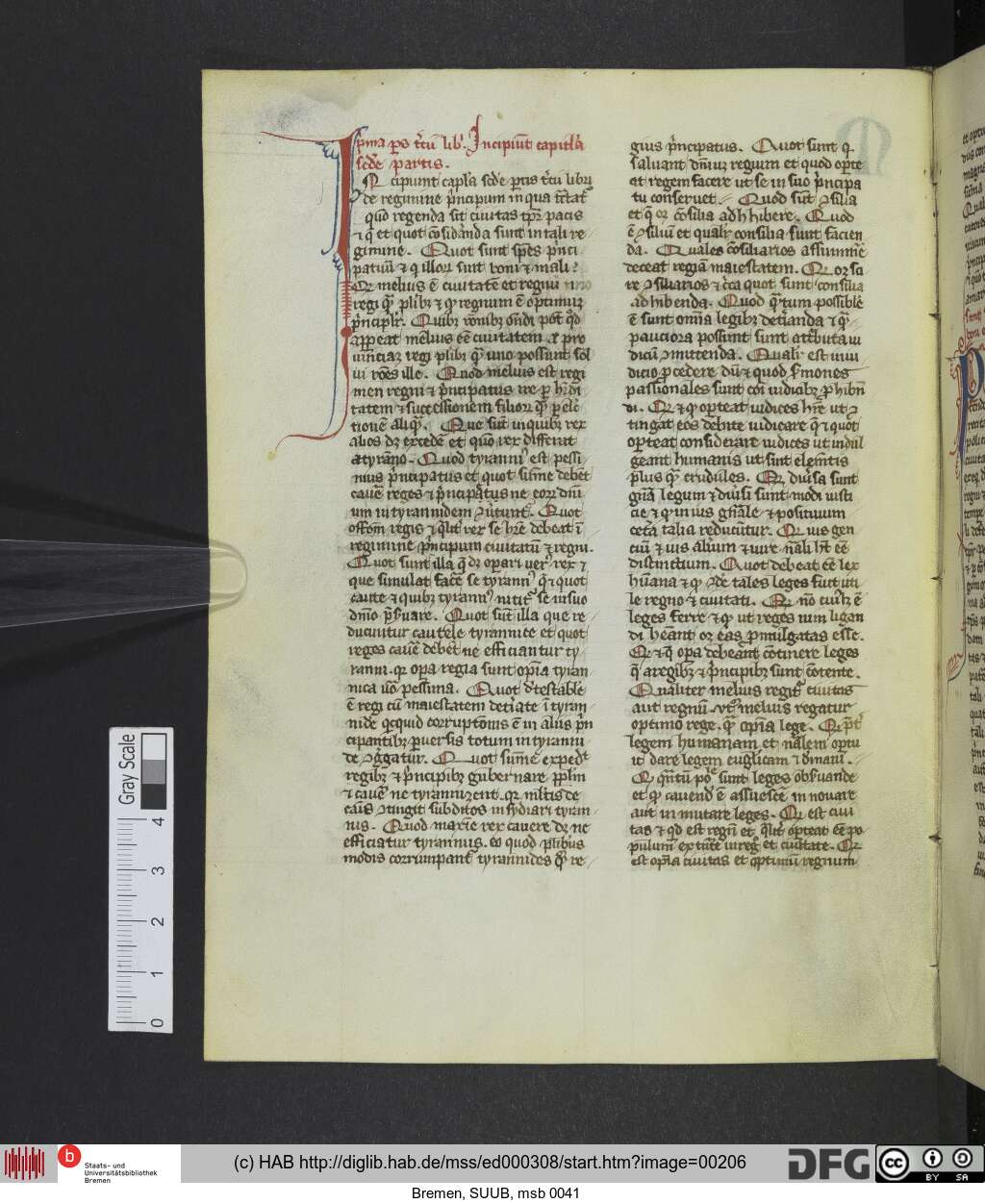 http://diglib.hab.de/mss/ed000308/00206.jpg