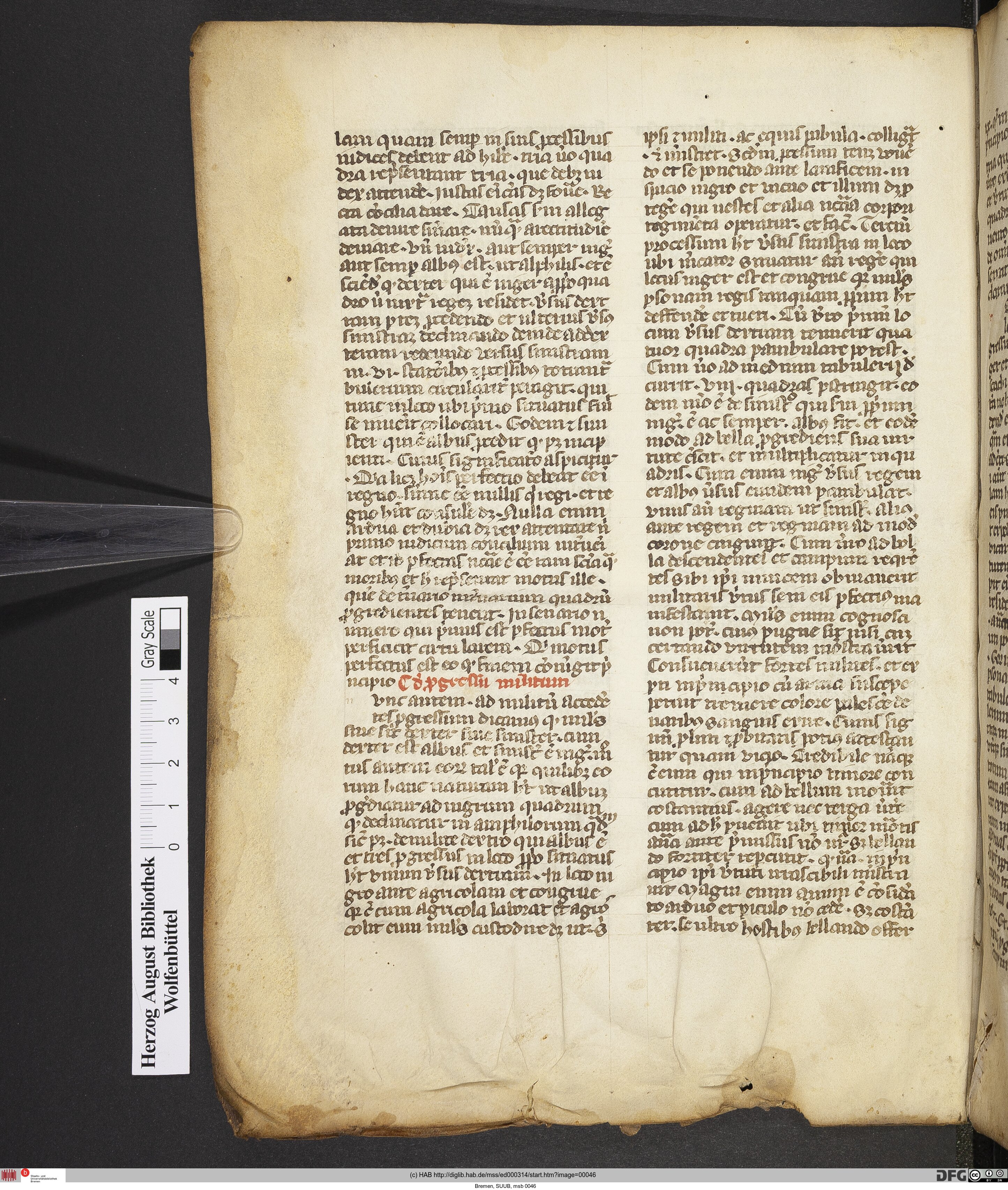 http://diglib.hab.de/mss/ed000314/max/00046.jpg