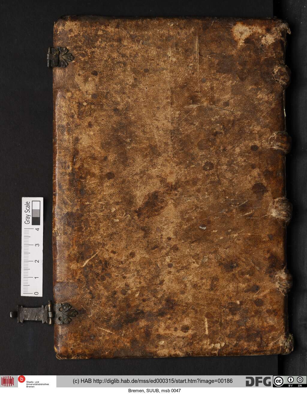 http://diglib.hab.de/mss/ed000315/00186.jpg