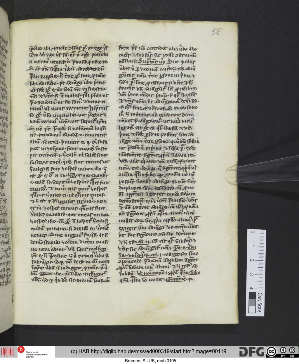 http://diglib.hab.de/mss/ed000319/00119.jpg