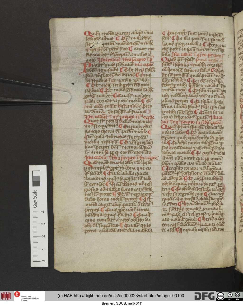 http://diglib.hab.de/mss/ed000323/00100.jpg