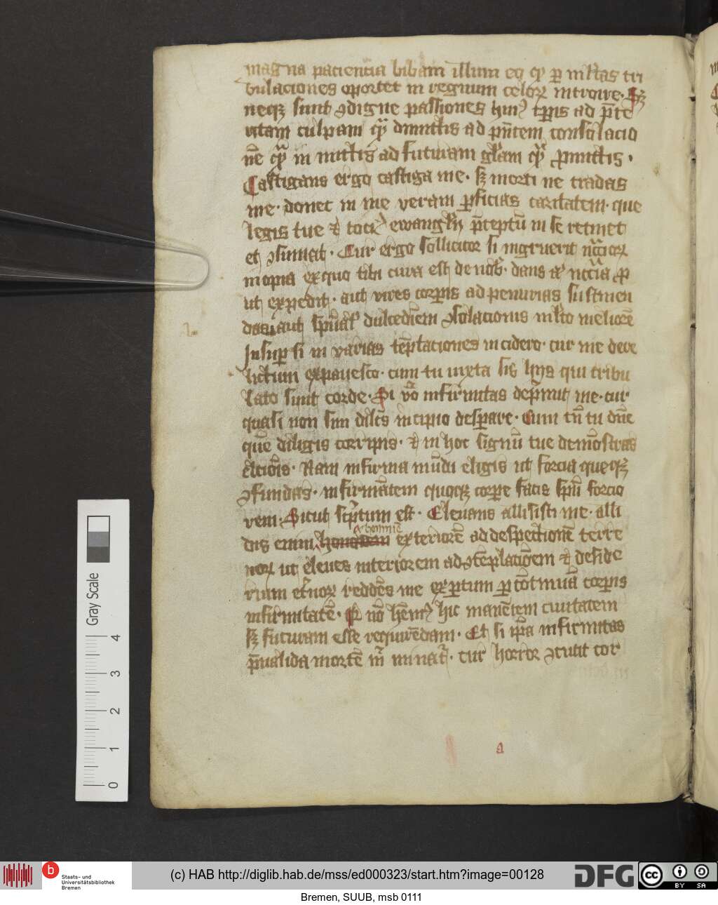 http://diglib.hab.de/mss/ed000323/00128.jpg