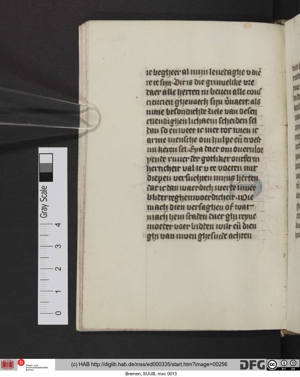 http://diglib.hab.de/mss/ed000335/00256.jpg