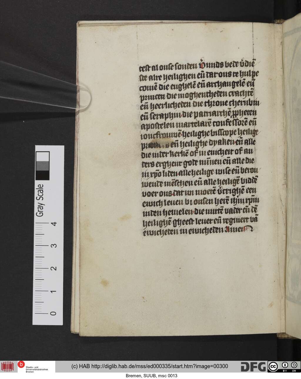 http://diglib.hab.de/mss/ed000335/00300.jpg