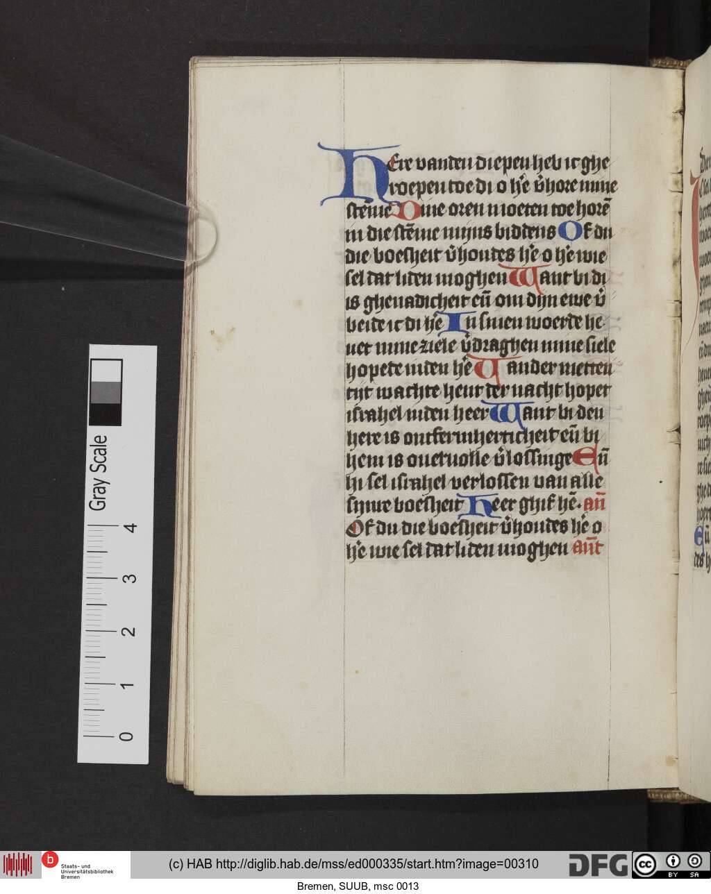 http://diglib.hab.de/mss/ed000335/00310.jpg