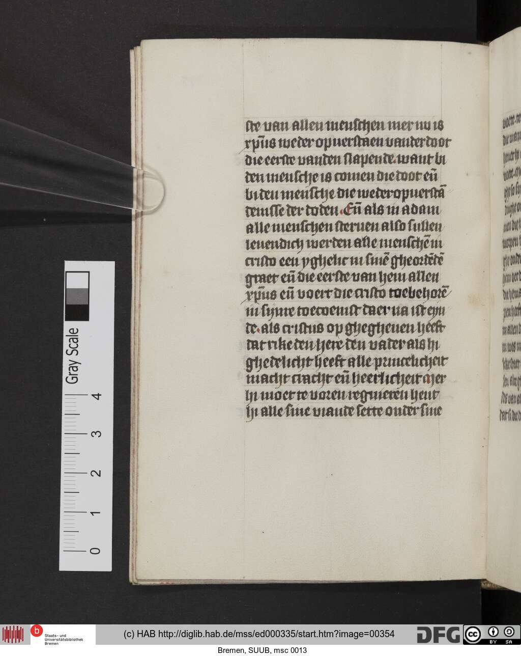 http://diglib.hab.de/mss/ed000335/00354.jpg