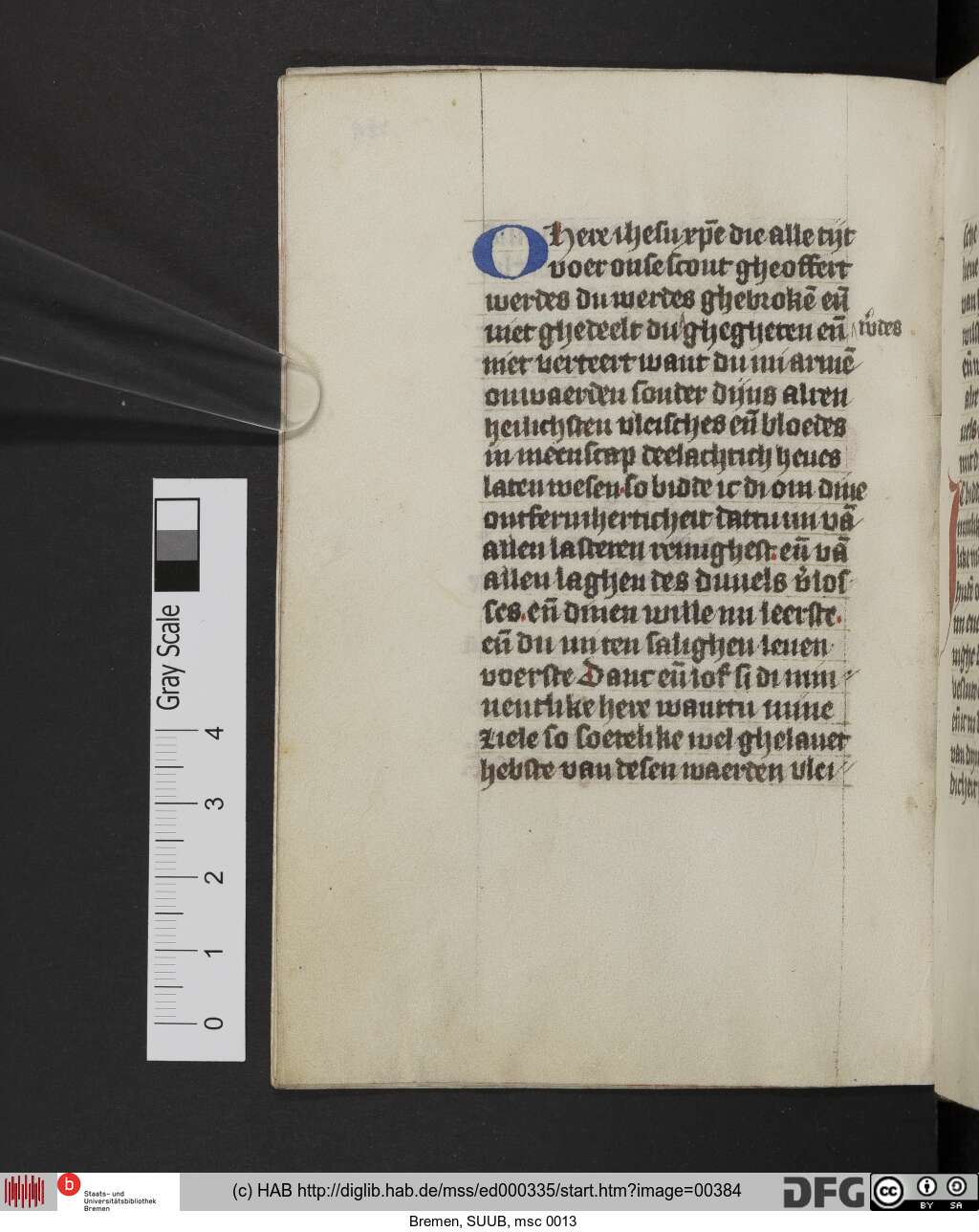 http://diglib.hab.de/mss/ed000335/00384.jpg