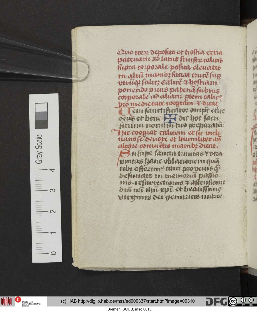 http://diglib.hab.de/mss/ed000337/00310.jpg