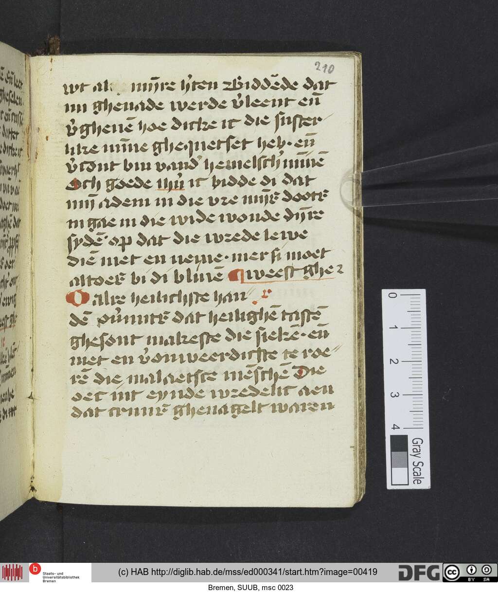 http://diglib.hab.de/mss/ed000341/00419.jpg