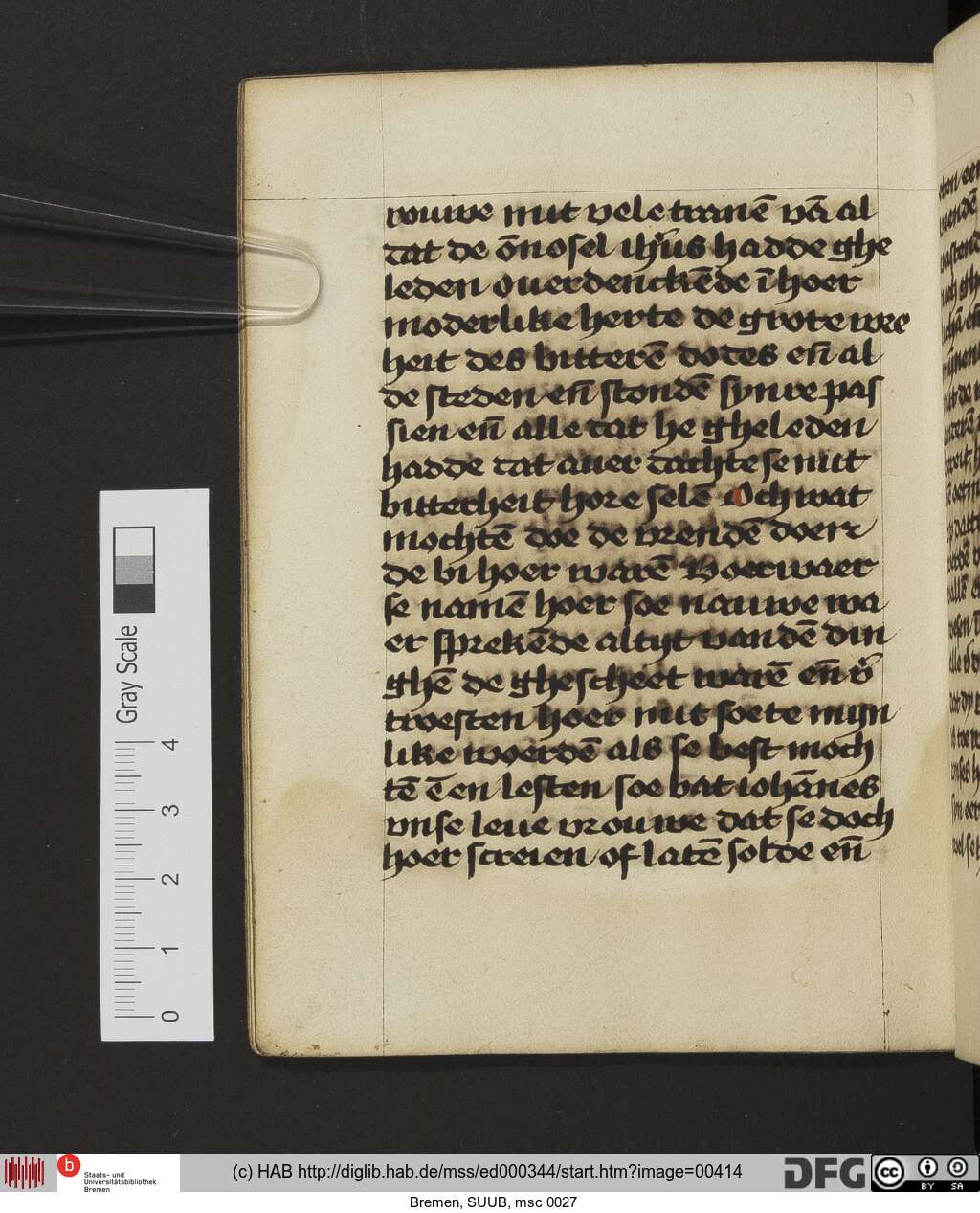http://diglib.hab.de/mss/ed000344/00414.jpg