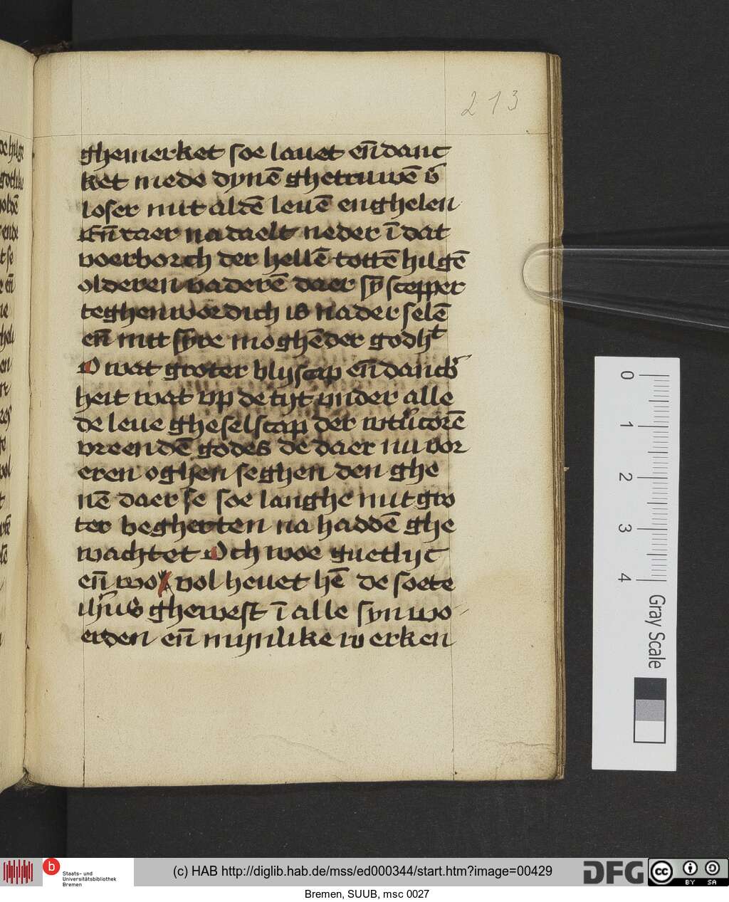 http://diglib.hab.de/mss/ed000344/00429.jpg