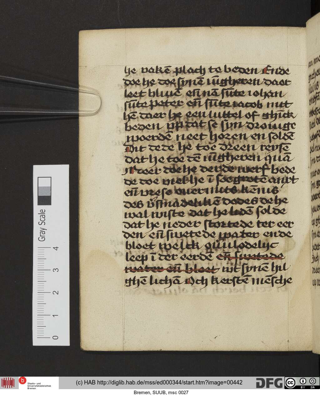 http://diglib.hab.de/mss/ed000344/00442.jpg