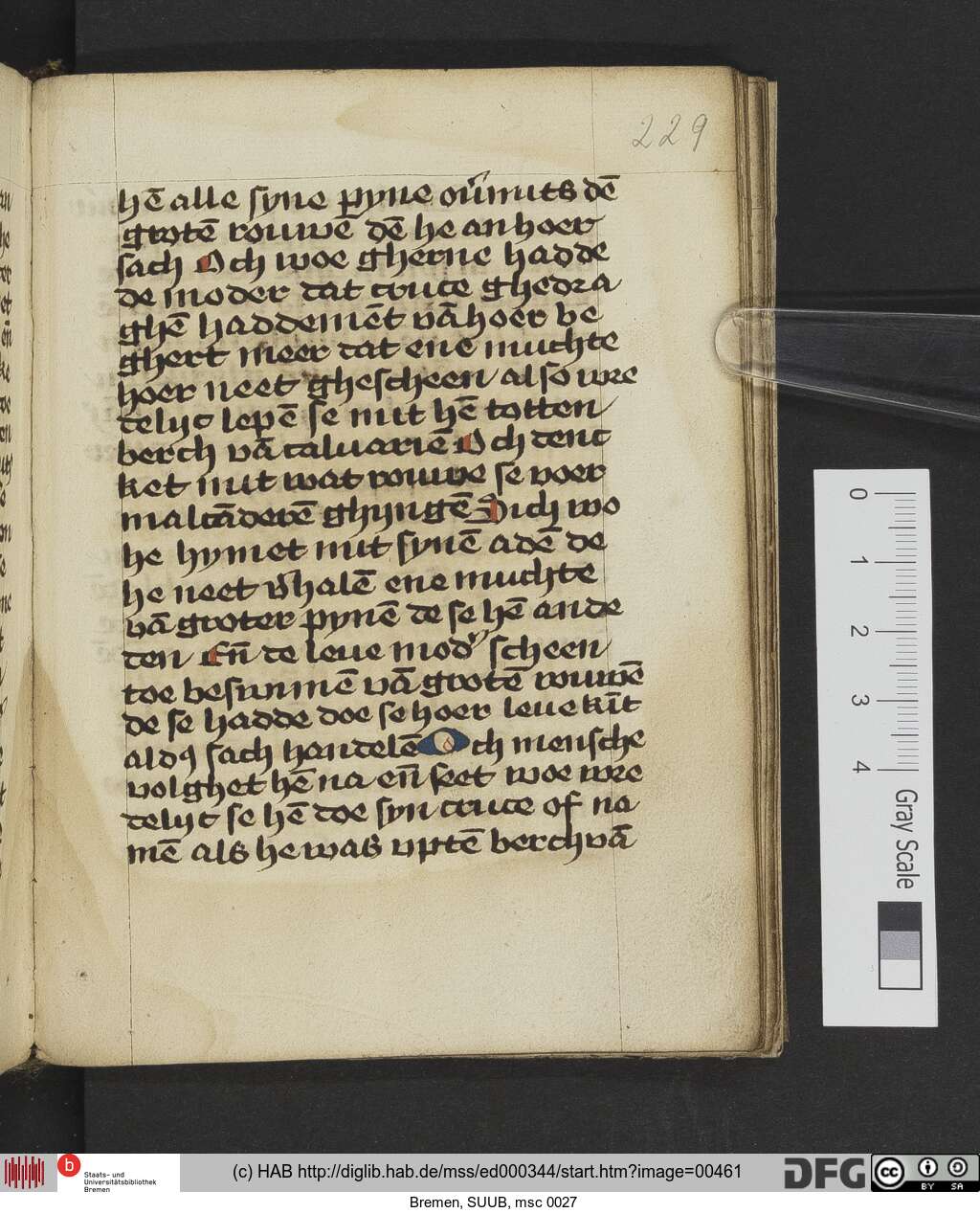 http://diglib.hab.de/mss/ed000344/00461.jpg