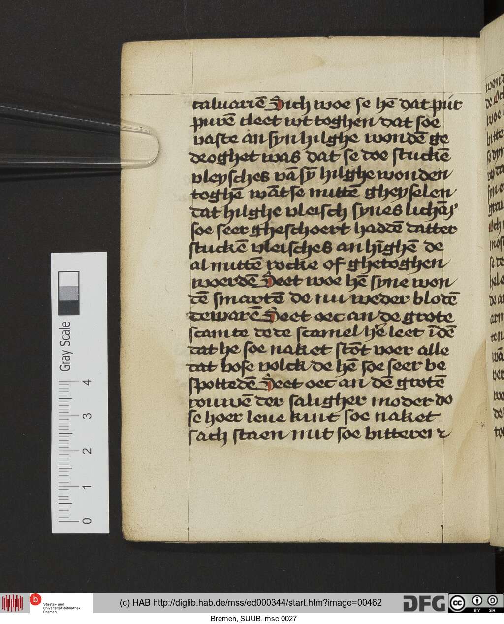 http://diglib.hab.de/mss/ed000344/00462.jpg