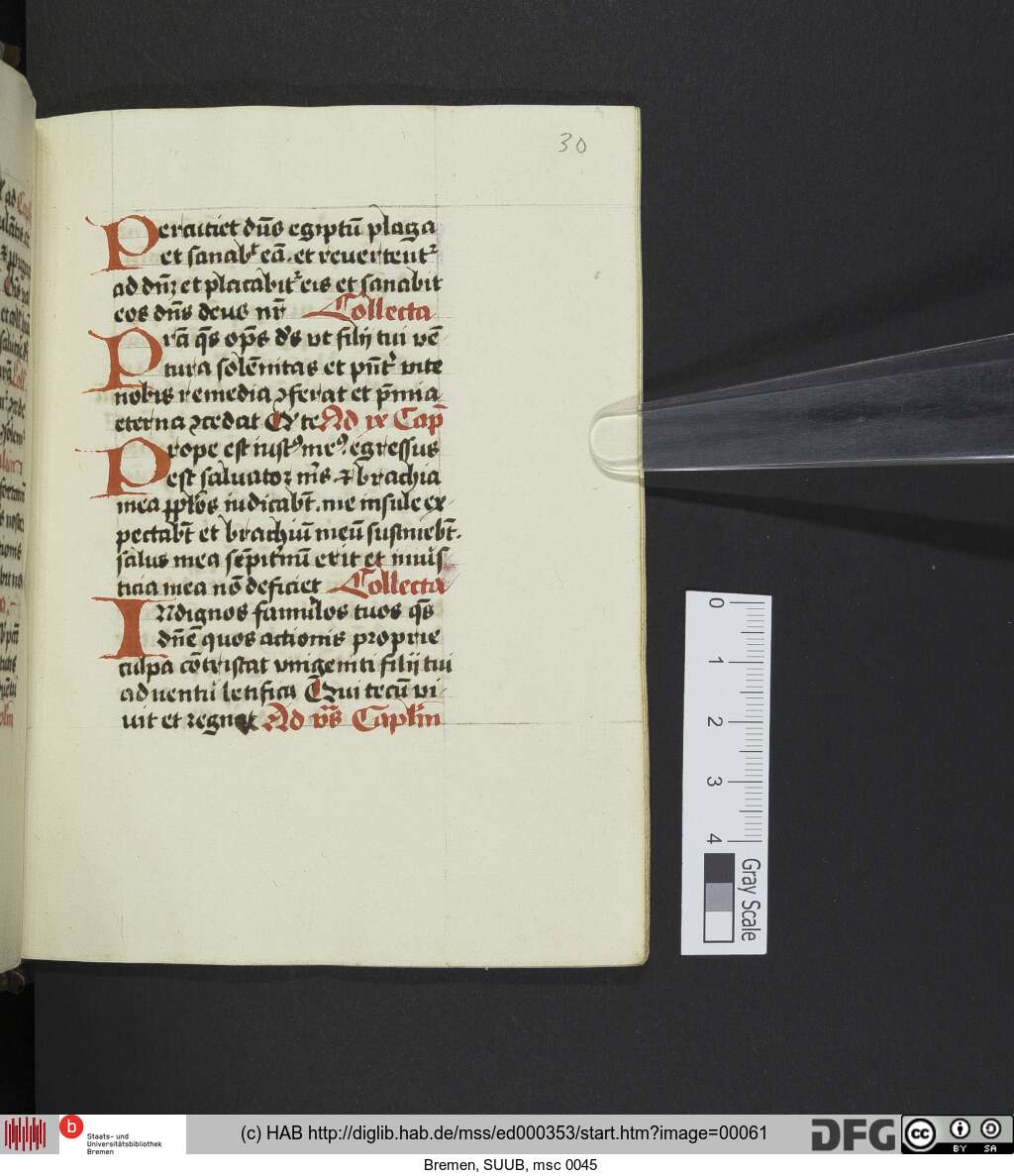 http://diglib.hab.de/mss/ed000353/00061.jpg