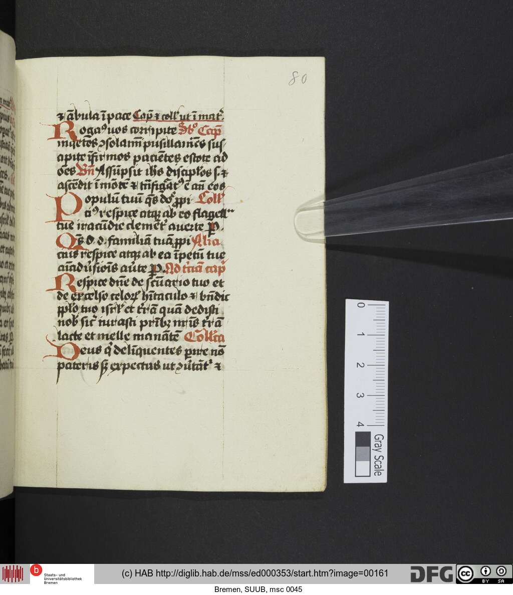 http://diglib.hab.de/mss/ed000353/00161.jpg