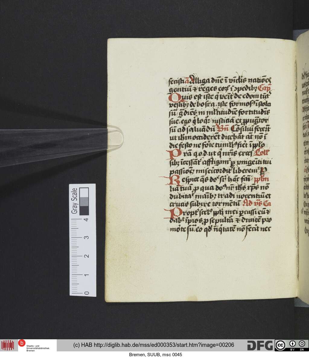 http://diglib.hab.de/mss/ed000353/00206.jpg