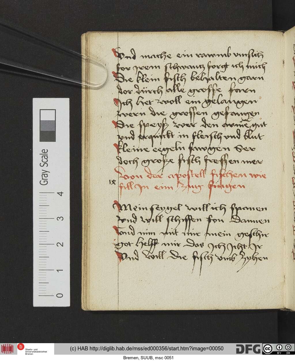 http://diglib.hab.de/mss/ed000356/00050.jpg